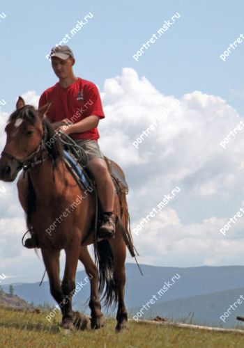 Портрет на коне 250